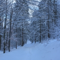 (25/126): Wycieczka Beskid lski 17.01.2016r.