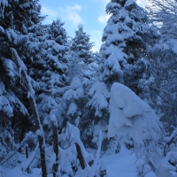 (26/126): Wycieczka Beskid lski 17.01.2016r.