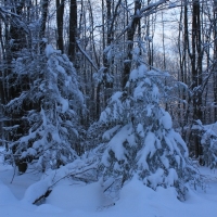 (27/126): Wycieczka Beskid lski 17.01.2016r.