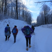(28/126): Wycieczka Beskid lski 17.01.2016r.