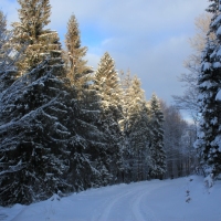 (29/126): Wycieczka Beskid lski 17.01.2016r.