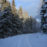 (30/126): Wycieczka Beskid lski 17.01.2016r.
