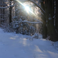 (31/126): Wycieczka Beskid lski 17.01.2016r.