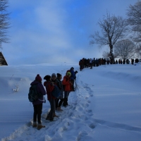 (32/126): Wycieczka Beskid lski 17.01.2016r.