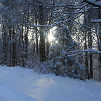 (35/126): Wycieczka Beskid lski 17.01.2016r.