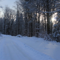 (36/126): Wycieczka Beskid lski 17.01.2016r.