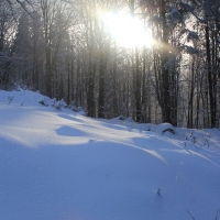 (37/126): Wycieczka Beskid lski 17.01.2016r.