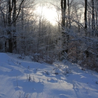 (39/126): Wycieczka Beskid lski 17.01.2016r.