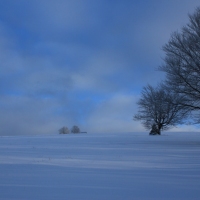 (40/126): Wycieczka Beskid lski 17.01.2016r.