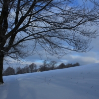 (41/126): Wycieczka Beskid lski 17.01.2016r.