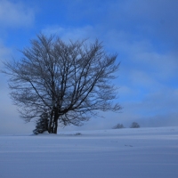 (42/126): Wycieczka Beskid lski 17.01.2016r.