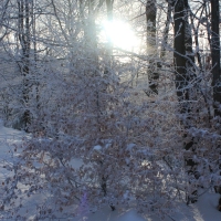 (43/126): Wycieczka Beskid lski 17.01.2016r.
