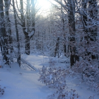 (44/126): Wycieczka Beskid lski 17.01.2016r.