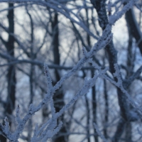 (45/126): Wycieczka Beskid lski 17.01.2016r.