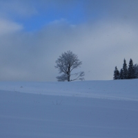 (47/126): Wycieczka Beskid lski 17.01.2016r.