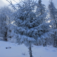 (48/126): Wycieczka Beskid lski 17.01.2016r.