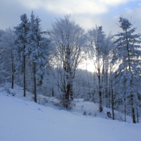 (50/126): Wycieczka Beskid lski 17.01.2016r.