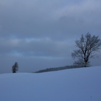 (52/126): Wycieczka Beskid lski 17.01.2016r.
