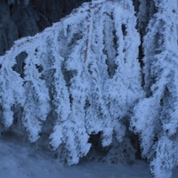(58/126): Wycieczka Beskid lski 17.01.2016r.