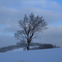 (59/126): Wycieczka Beskid lski 17.01.2016r.
