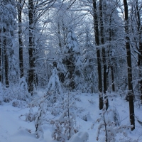 (60/126): Wycieczka Beskid lski 17.01.2016r.