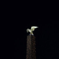 (119/146): 