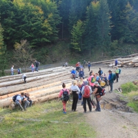 (58/61): Wędruj z NAMI - naprawdę warto!!!!