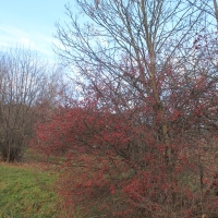 (9/43): Wdruj z NAMI - naprawd warto!!!!