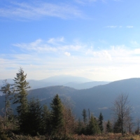 (14/43): Wdruj z NAMI - naprawd warto!!!!