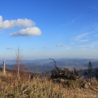 (15/43): Wdruj z NAMI - naprawd warto!!!!