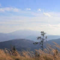 (16/43): Wdruj z NAMI - naprawd warto!!!!