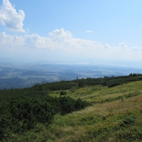 (54/85): 
Wdruj z NAMI - naprawd warto!!!!
