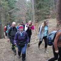 (8/74): Wdruj z NAMI - naprawd warto!!!! 