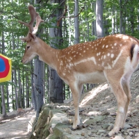 (147/159): 