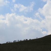 (7/79): Wiktorwki, Zota Dolinka, Sanktuarium MB Jaworzyskiej, Rusinowa Polana, Gsia Szyja 1489 m n.p.m., Wiktorwki