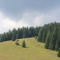 (11/79): Wiktorwki, Zota Dolinka, Sanktuarium MB Jaworzyskiej, Rusinowa Polana, Gsia Szyja 1489 m n.p.m., Wiktorwki