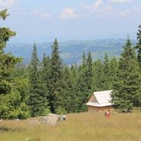 (13/79): Wiktorwki, Zota Dolinka, Sanktuarium MB Jaworzyskiej, Rusinowa Polana, Gsia Szyja 1489 m n.p.m., Wiktorwki