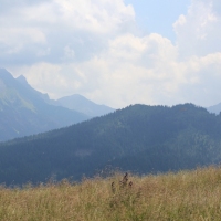 (16/79): Wiktorwki, Zota Dolinka, Sanktuarium MB Jaworzyskiej, Rusinowa Polana, Gsia Szyja 1489 m n.p.m., Wiktorwki