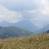 (17/79): Wiktorwki, Zota Dolinka, Sanktuarium MB Jaworzyskiej, Rusinowa Polana, Gsia Szyja 1489 m n.p.m., Wiktorwki