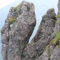 (26/79): Wiktorwki, Zota Dolinka, Sanktuarium MB Jaworzyskiej, Rusinowa Polana, Gsia Szyja 1489 m n.p.m., Wiktorwki