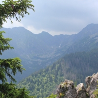 (31/79): Wiktorwki, Zota Dolinka, Sanktuarium MB Jaworzyskiej, Rusinowa Polana, Gsia Szyja 1489 m n.p.m., Wiktorwki