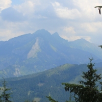 (34/79): Wiktorwki, Zota Dolinka, Sanktuarium MB Jaworzyskiej, Rusinowa Polana, Gsia Szyja 1489 m n.p.m., Wiktorwki