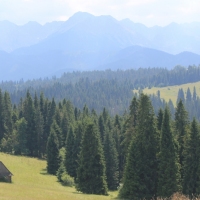 (63/79): Wiktorwki, Zota Dolinka, Sanktuarium MB Jaworzyskiej, Rusinowa Polana, Gsia Szyja 1489 m n.p.m., Wiktorwki