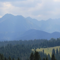 (64/79): Wiktorwki, Zota Dolinka, Sanktuarium MB Jaworzyskiej, Rusinowa Polana, Gsia Szyja 1489 m n.p.m., Wiktorwki