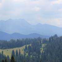 (65/79): Wiktorwki, Zota Dolinka, Sanktuarium MB Jaworzyskiej, Rusinowa Polana, Gsia Szyja 1489 m n.p.m., Wiktorwki