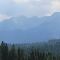 (66/79): Wiktorwki, Zota Dolinka, Sanktuarium MB Jaworzyskiej, Rusinowa Polana, Gsia Szyja 1489 m n.p.m., Wiktorwki