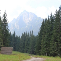 (28/134): ysa Polana - Bielovodska dolina - Litvorova dolina - Bielovodska dolina - ysa Polana