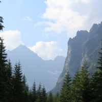 (37/134): ysa Polana - Bielovodska dolina - Litvorova dolina - Bielovodska dolina - ysa Polana