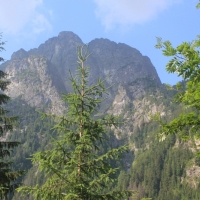 (41/134): ysa Polana - Bielovodska dolina - Litvorova dolina - Bielovodska dolina - ysa Polana