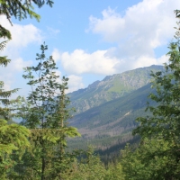 (73/134): ysa Polana - Bielovodska dolina - Litvorova dolina - Bielovodska dolina - ysa Polana